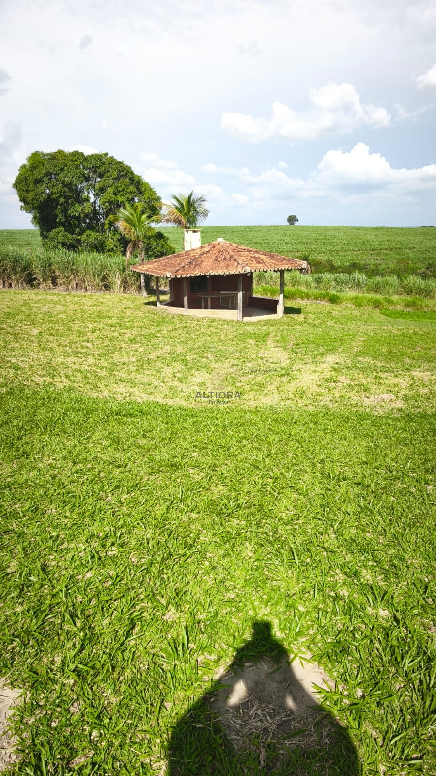 Sítio > venda > Jaguariúna