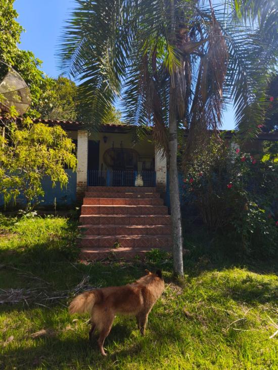 sitio-venda-jaguariuna-1019679